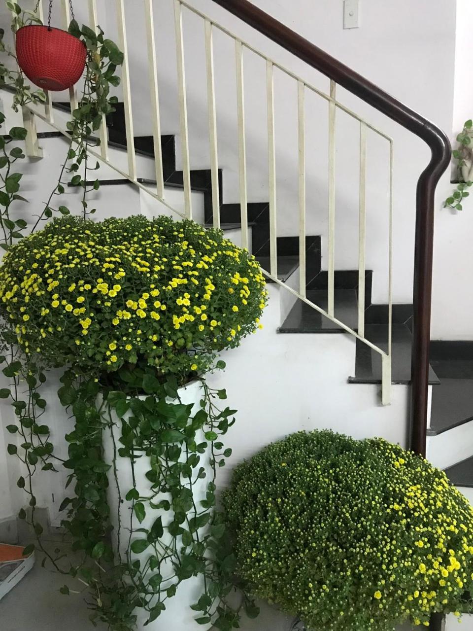 Vanapartment Ho Chi Minh-staden Exteriör bild
